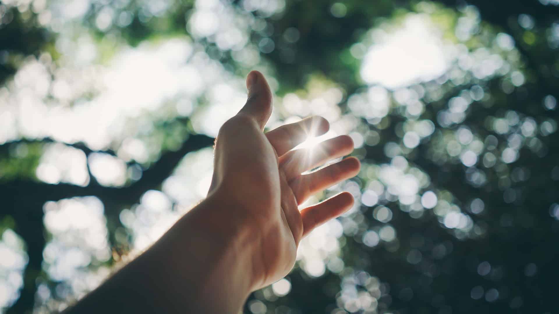 Hand sonnelicht 169